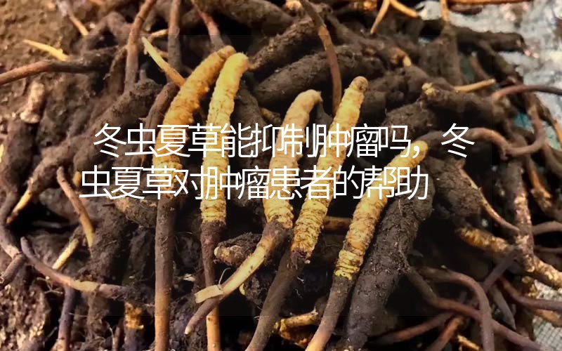 冬蟲夏草能抑制腫瘤嗎？冬蟲夏草對腫瘤患者的幫助