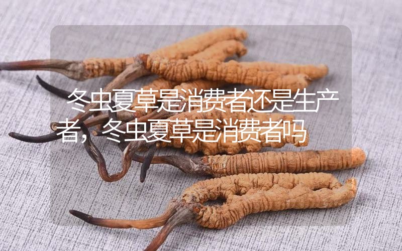 貧血吃冬蟲夏草有效果嗎，貧血虛弱者可以用冬蟲夏草嗎？