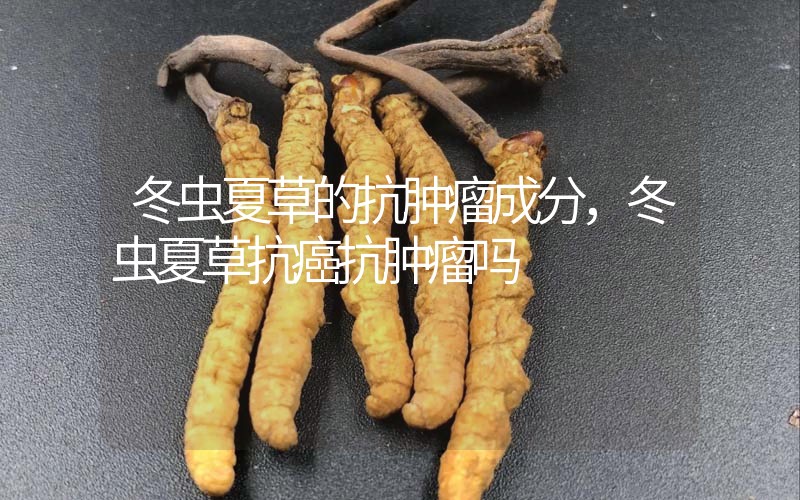 冬蟲(chóng)夏草的抗腫瘤成分，冬蟲(chóng)夏草抗癌抗腫瘤嗎？