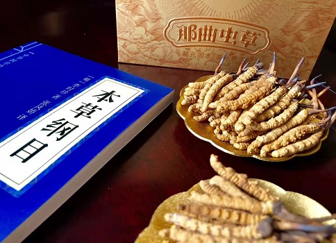 冬蟲夏草真就那么好嗎？它的主要功能是什么呀