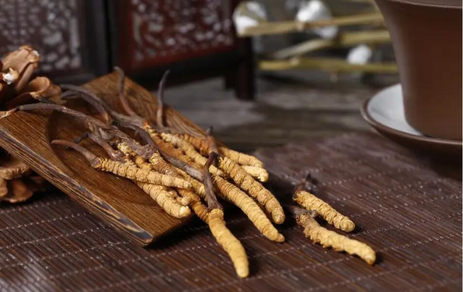 冬蟲夏草怎么選擇，冬蟲夏草選怎么樣的最好?