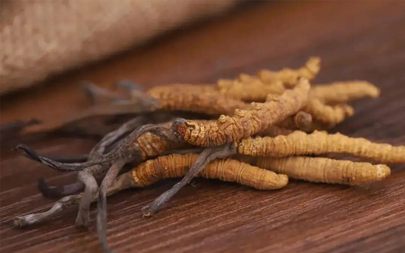 不同產(chǎn)地冬蟲夏草價(jià)格差別大嗎？