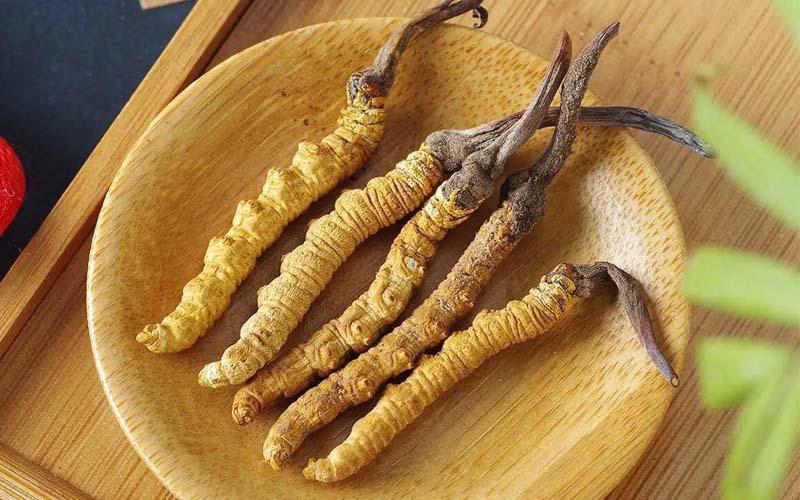 冬蟲夏草作用可以調(diào)節(jié)身體肝臟功能嗎？