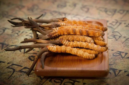 蟲(chóng)草就是冬蟲(chóng)夏草嗎？有多少人被假蟲(chóng)草忽悠