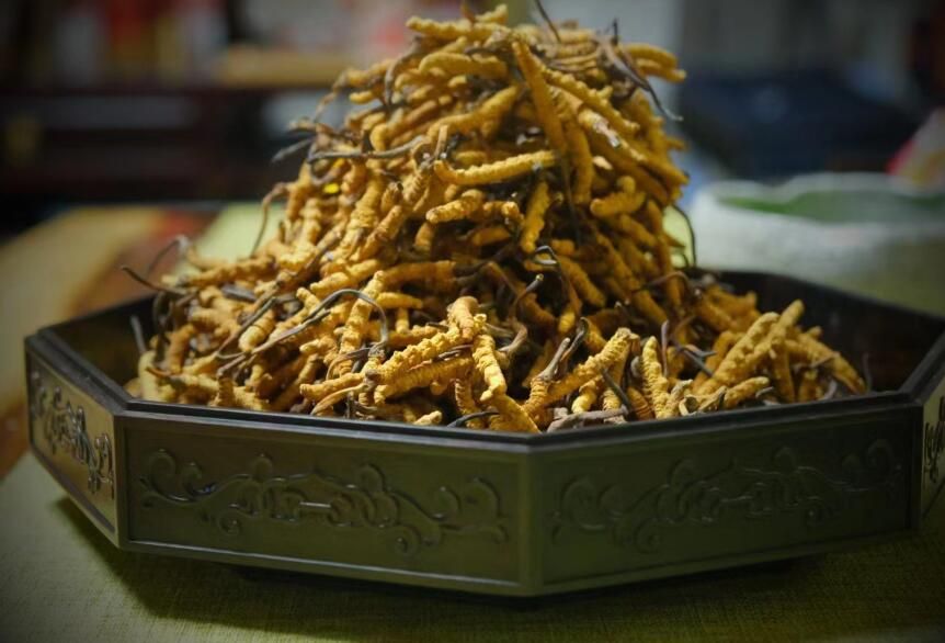 <a href=http://m.cyts-zx.com/ target=_blank class=infotextkey>冬蟲夏草</a>