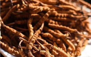 如何區(qū)分新草與舊草？