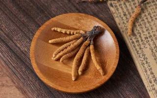 吃冬蟲夏草要注意的幾個(gè)點(diǎn)？