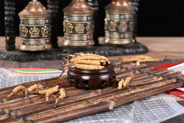 冬蟲(chóng)夏草和長(zhǎng)香玉香瓜搭配的吃法