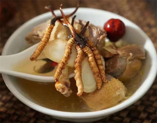 冬蟲夏草可以燉海鯽魚嗎？