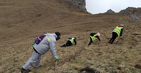 <a href=http://m.cyts-zx.com/sdph/zf/ target=_blank class=infotextkey>珍峰冬蟲夏草</a>：源自世界屋脊的養(yǎng)生瑰寶