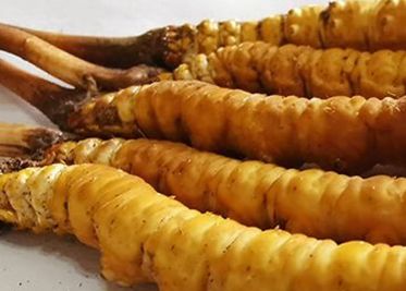 <a href=http://m.cyts-zx.com/sdph/zf/ target=_blank class=infotextkey>珍峰冬蟲夏草</a>主要的銷售模式