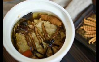 冬蟲夏草怎么食用？解鎖滋補養(yǎng)生的正確打開方式