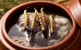 冬蟲夏草燉排骨 | 滋補養(yǎng)生的家常做法