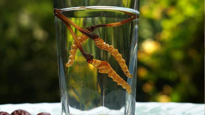 探秘五糧液冬蟲夏草酒價格:多維視角下的市場剖析