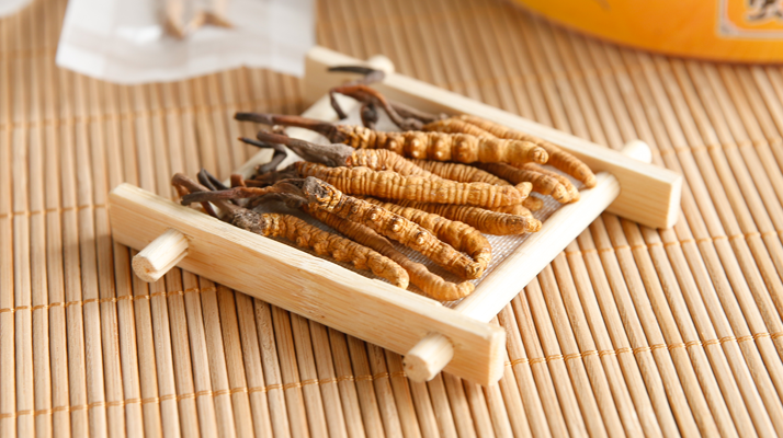 新鮮蟲(chóng)草價(jià)格多少錢(qián)一克