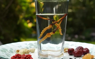 冬蟲(chóng)夏草鮮品泡酒：養(yǎng)生佳釀還是健康隱患？