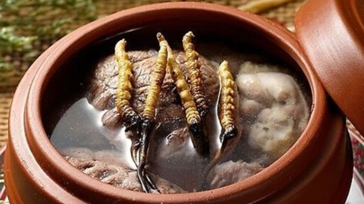 鮮冬蟲夏草吃多會(huì)上火嗎？一文解析真相