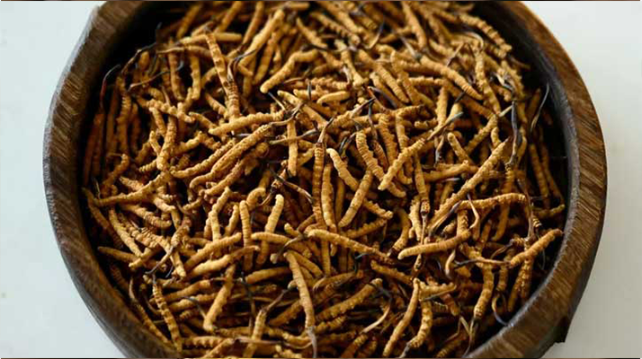 <a href=http://m.cyts-zx.com/jiage/ target=_blank class=infotextkey>冬蟲夏草價格</a>探秘：多因素交織下的市場行情