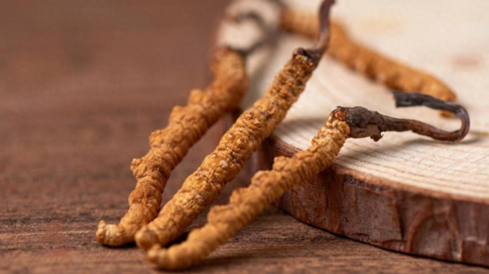 冬蟲(chóng)夏草現(xiàn)在多少錢一克