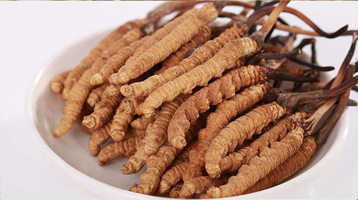 野生鮮<a href=http://m.cyts-zx.com/s/nqcc/ target=_blank class=infotextkey>那曲冬蟲夏草</a>:雪域高原的時(shí)令滋補(bǔ)珍品