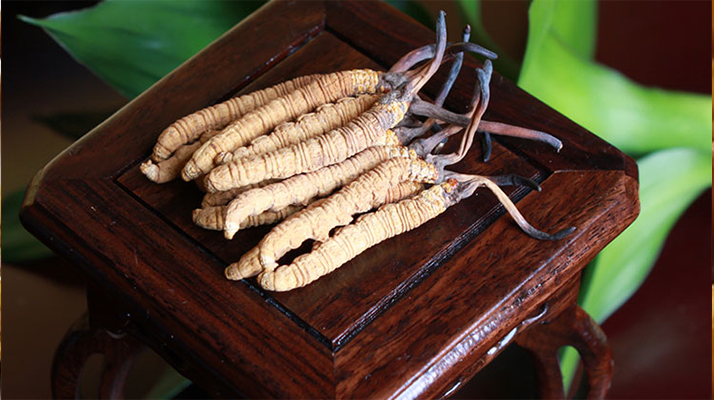 怎樣鑒別<a href=http://m.cyts-zx.com/tag/6.html target=_blank class=infotextkey>冬蟲夏草的產(chǎn)地</a>