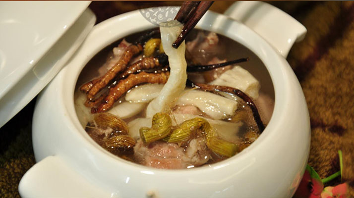 腎病患者如何用冬蟲夏草