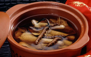 糖尿病可服用冬蟲夏草嗎？科學(xué)解析其調(diào)理價(jià)值與注意事項(xiàng)