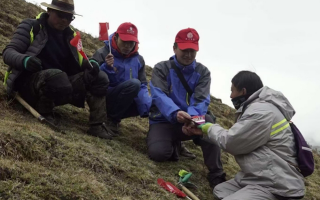 冬蟲夏草：把握最佳采摘季，守護(hù)自然饋贈