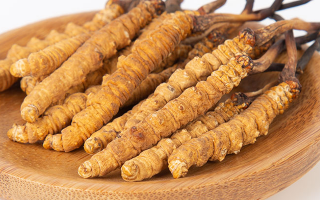 冬蟲(chóng)夏草，真有那么大效果？