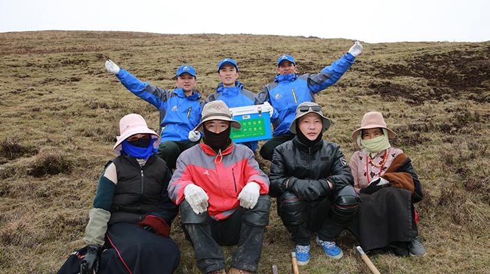 西藏冬蟲夏草的主要產(chǎn)地：品質與地域特色詳解