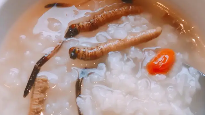 冬蟲夏草適合哪些人群？精準(zhǔn)匹配與禁忌提醒