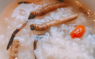 冬蟲夏草適合哪些人群？精準(zhǔn)匹配與禁忌提醒