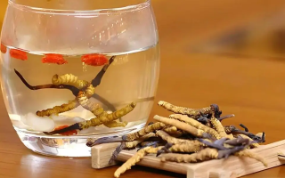 長(zhǎng)期喝冬蟲(chóng)夏草泡水好嗎？科學(xué)分析與飲用指南