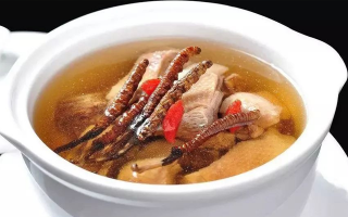 冬蟲夏草怎樣燉是最好的？掌握這幾步，營養(yǎng)不流失還美味