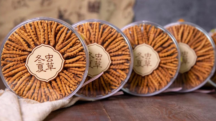 把握黃金時段！冬蟲夏草在這些時候吃效果更佳