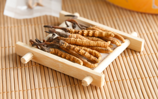 冬蟲夏草怎么燉比較好？解鎖營養(yǎng)不流失的燉煮指南