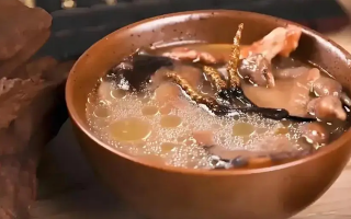 冬蟲夏草治什么病效果好？厘清輔助調(diào)理邊界與適用場景