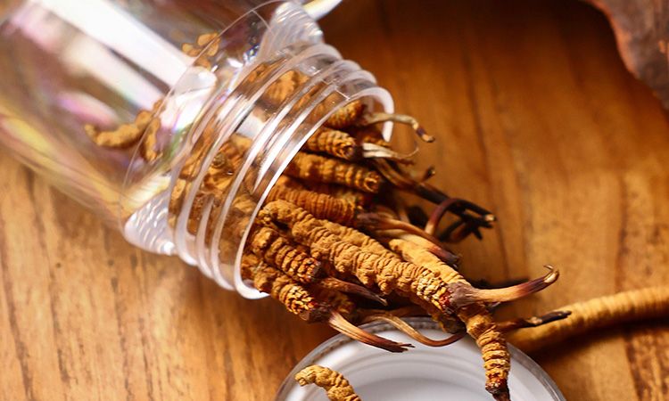 <a href=http://m.cyts-zx.com/jiage/ target=_blank class=infotextkey>冬蟲(chóng)夏草多少錢(qián)</a>一條 