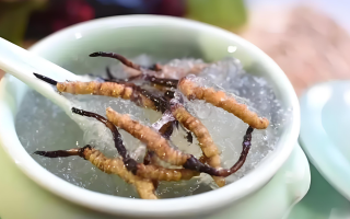 十根冬蟲夏草能泡幾斤酒？泡酒比例與細(xì)節(jié)指南