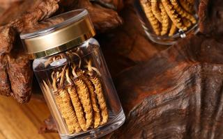 鮮冬蟲夏草泡水后怎么保存？3 種場景保存方法 + 避坑指南