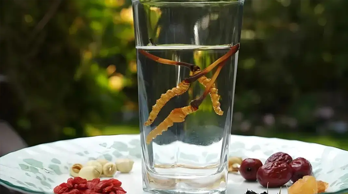 人參配蟲(chóng)草泡酒，泡多久才好喝 