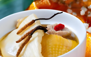 黃芪能和西藏那曲的冬蟲夏草一起燉嗎？