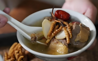 冬蟲夏草和什么一起燉可以治咳嗽？