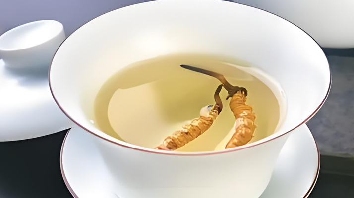 鮮冬蟲夏草可以煮水喝嗎？有什么功效和作用？