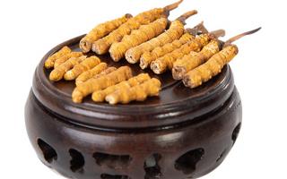冬蟲夏草的頭期斷草好嗎？有沒有營養(yǎng)價(jià)值？