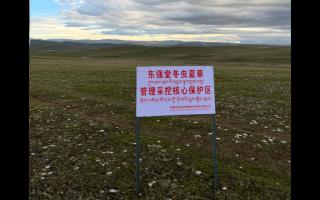 高原之上，蟲草共生；守護(hù)生態(tài)，東強(qiáng)堂與你同行