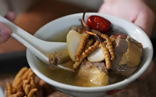  冬蟲夏草和什么食材搭配煲湯比較好？