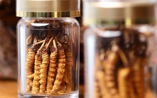 正宗冬蟲夏草哪家便宜？——教你選對(duì)低價(jià)正品渠道