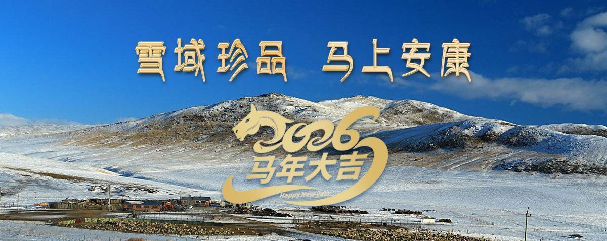 雪域高原藏珍品，2026愿您馬上安康——來自西藏那曲蟲草網(wǎng)的新春祝福