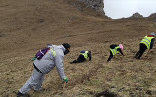 深耕那曲雪域，甄選正宗好草——2026那曲冬蟲夏草優(yōu)質(zhì)品牌盤點(diǎn)